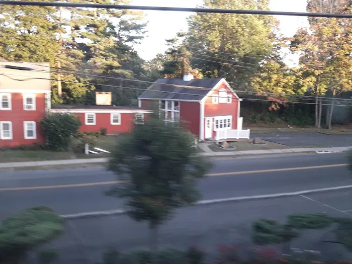 The Pet Hospital Of Stratford Picture 3