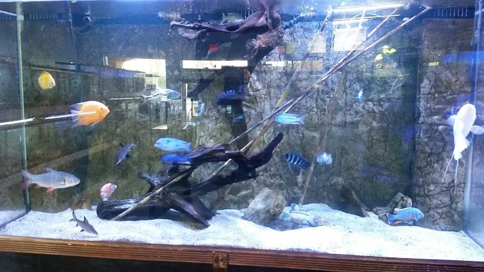 Poseidon Aquarium Picture 5