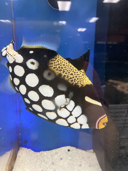 Poseidon Aquarium Picture 8