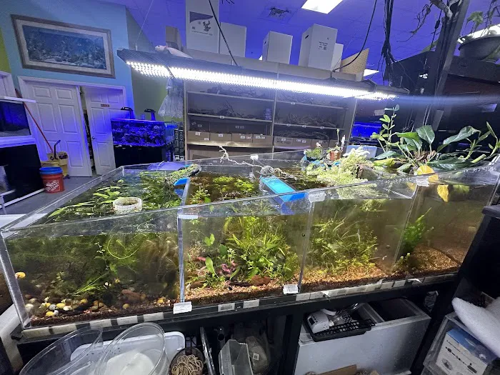 Poseidon Aquarium Picture 7