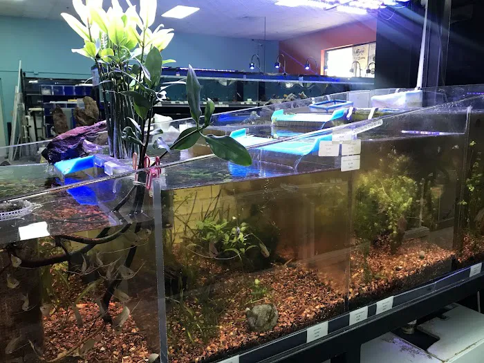 Poseidon Aquarium Picture 3