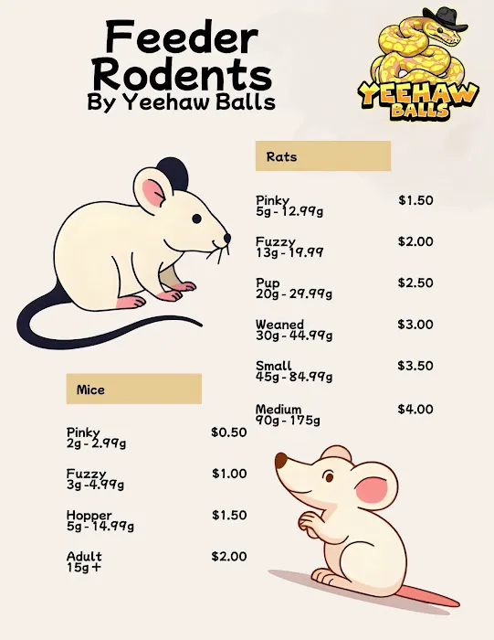 Frozen & Live Feeders Volusia County | Yeehaw Balls Picture 1