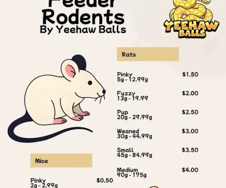 Frozen & Live Feeders Volusia County | Yeehaw Balls