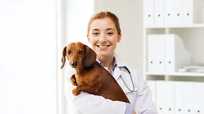 Orange Veterinary Hospital Picture 1