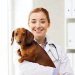 Orange Veterinary Hospital