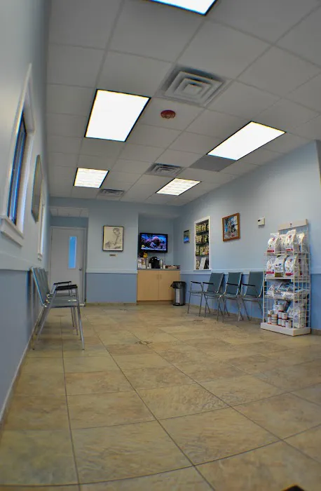 Orange Veterinary Hospital Picture 8