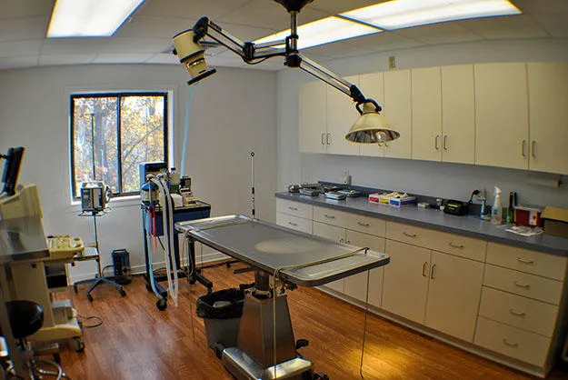 Orange Veterinary Hospital Picture 4