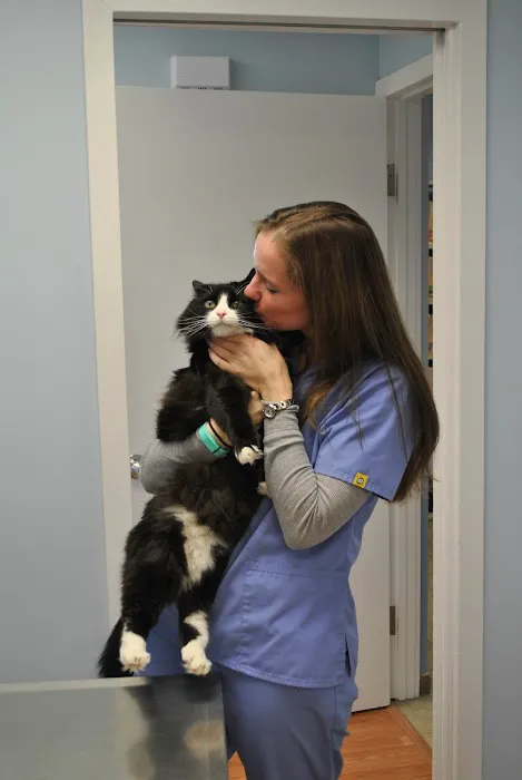 Orange Veterinary Hospital Picture 9