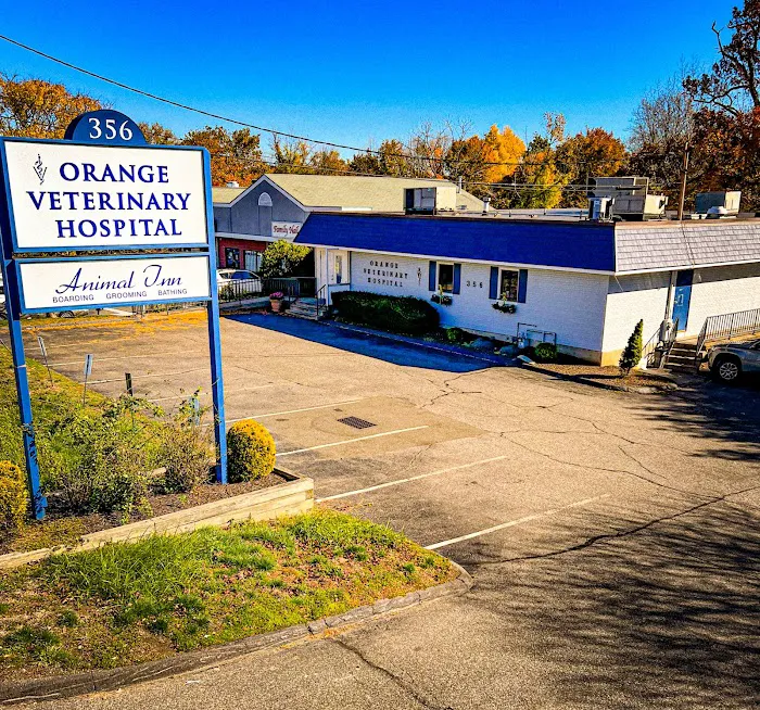 Orange Veterinary Hospital Picture 10