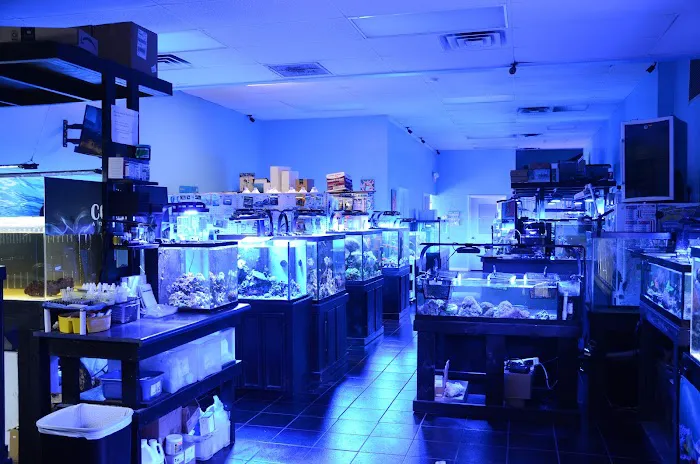 Bluewater Reef Aquatics, Inc. Picture 7