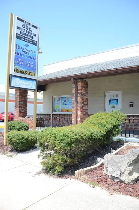 Bluewater Reef Aquatics, Inc. Picture 6