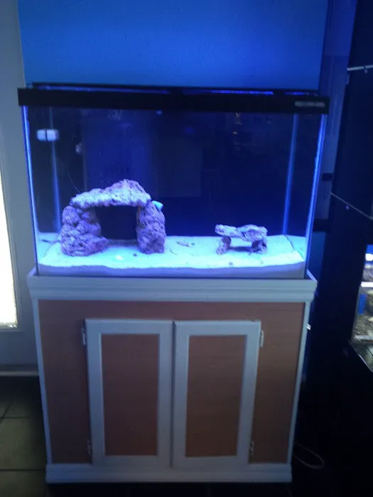 Bluewater Reef Aquatics, Inc. Picture 2