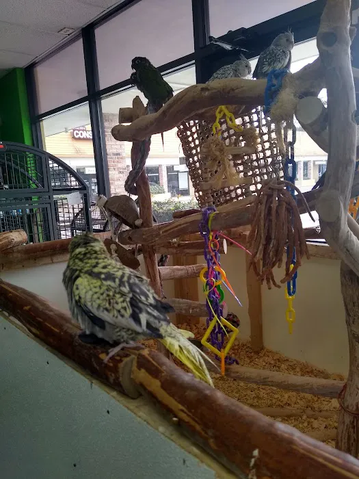 Amazon Jungle Exotic Pets & Resource Center Picture 6