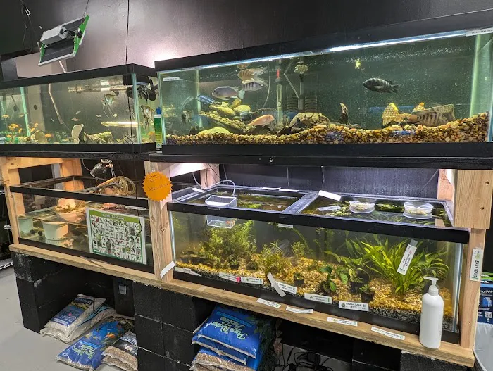 Amazon Jungle Exotic Pets & Resource Center Picture 2