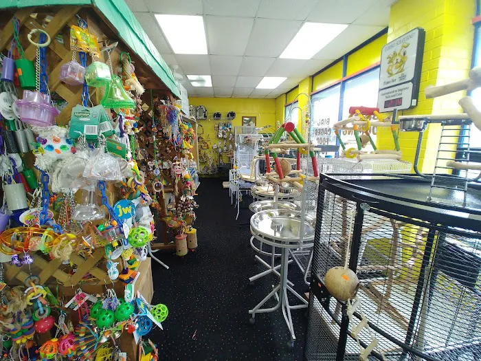 Amazon Jungle Exotic Pets & Resource Center Picture 5