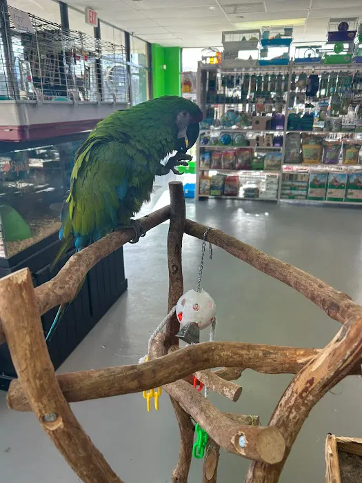 Amazon Jungle Exotic Pets & Resource Center Picture 3
