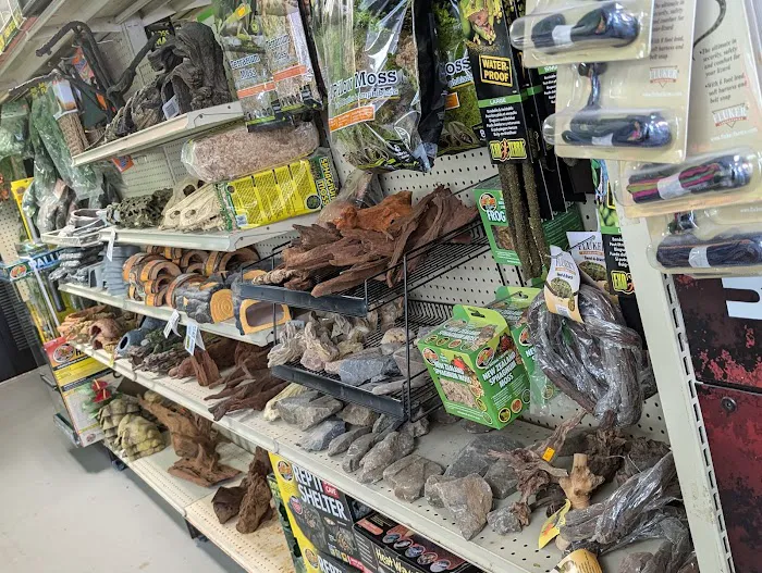 Amazon Jungle Exotic Pets & Resource Center Picture 9