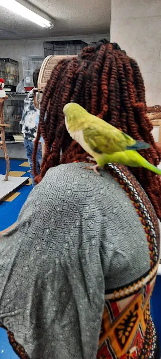 Amazon Jungle Exotic Pets & Resource Center Picture 8