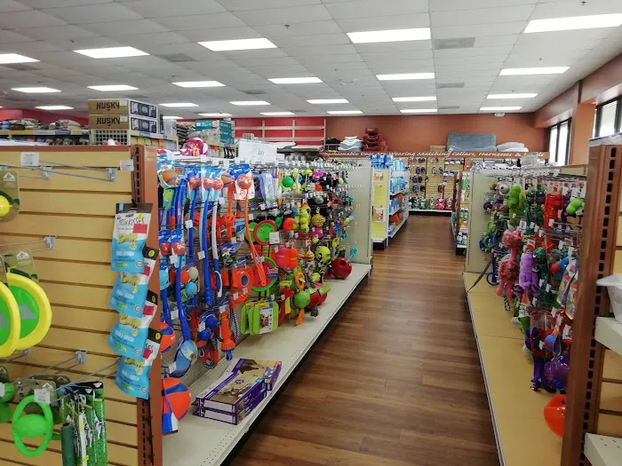 Pet Supermarket Picture 8