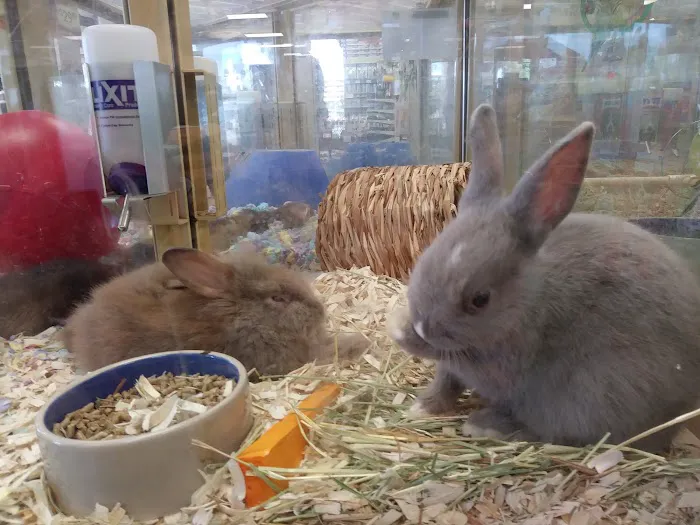 Pet Supermarket Picture 4