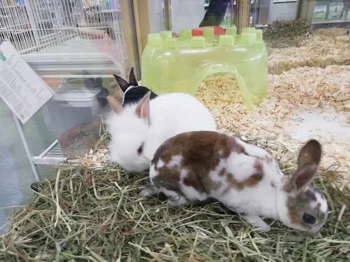 Pet Supermarket Picture 1