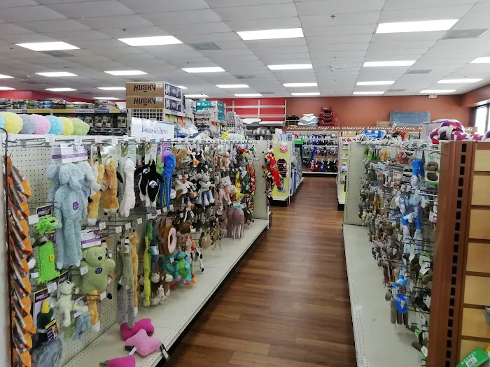 Pet Supermarket Picture 2