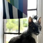 Spring Glen Veterinary Clinic