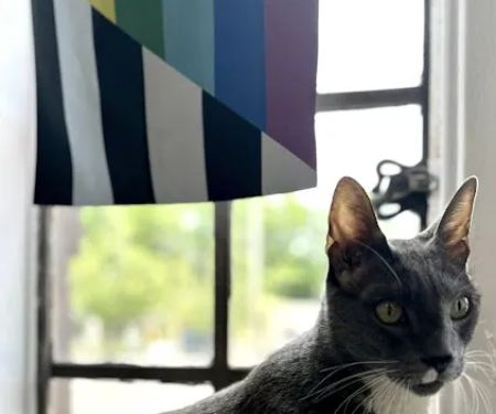 Spring Glen Veterinary Clinic
