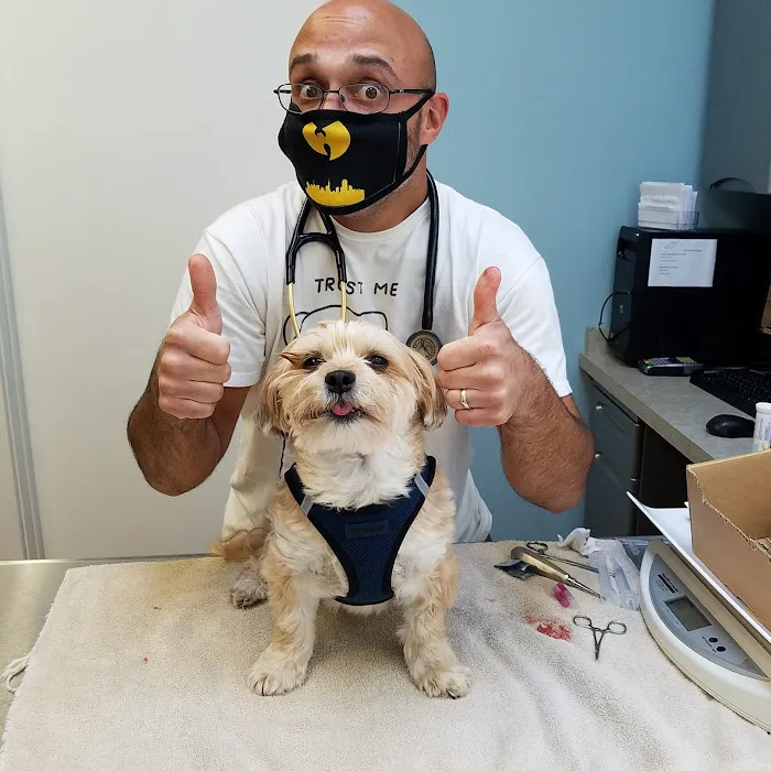 Spring Glen Veterinary Clinic Picture 3