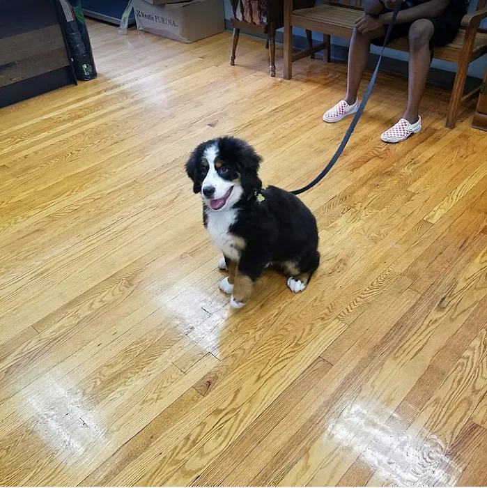 Spring Glen Veterinary Clinic Picture 7