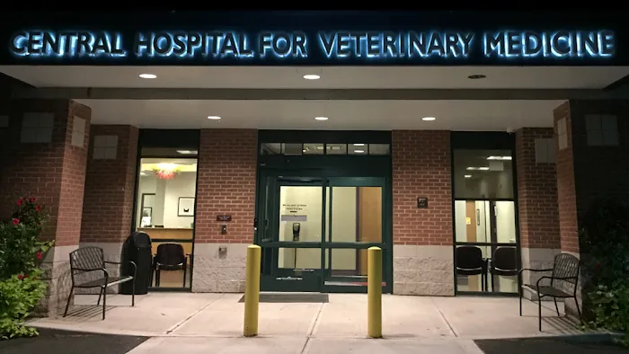 Central Hospital For Veterinary Medicine Picture 9
