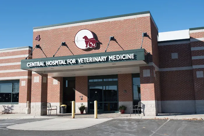Central Hospital For Veterinary Medicine Picture 1