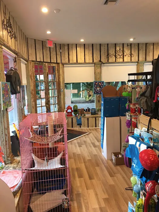 Big Easy Animal Rescue & Pet Shop Picture 9