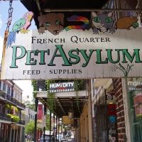 Big Easy Animal Rescue & Pet Shop ico