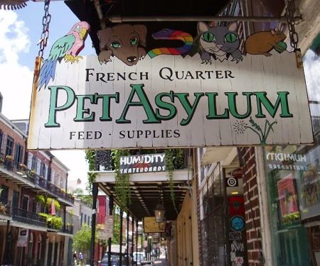 Big Easy Animal Rescue & Pet Shop