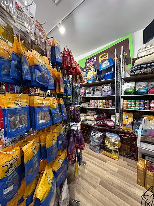 Big Easy Animal Rescue & Pet Shop Picture 2