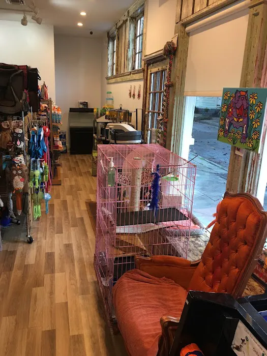 Big Easy Animal Rescue & Pet Shop Picture 7