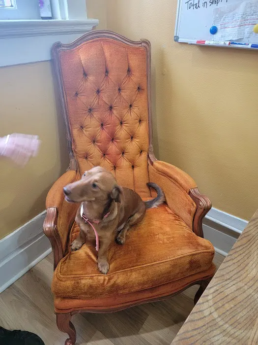 Big Easy Animal Rescue & Pet Shop Picture 10