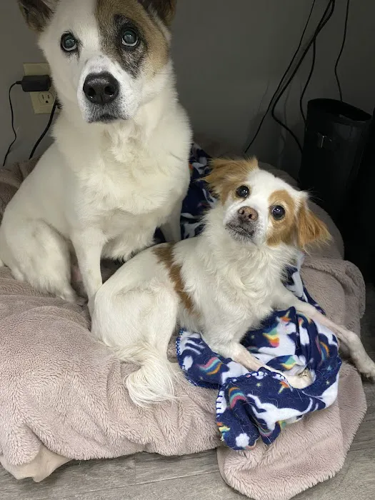 Ridgehill Animal Hospital Picture 9