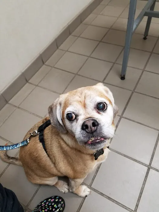 Ridgehill Animal Hospital Picture 5