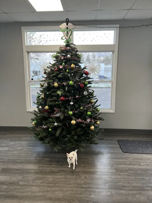 Ridgehill Animal Hospital Picture 8