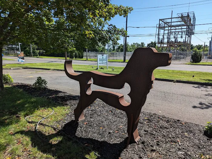 Ridgehill Animal Hospital Picture 4