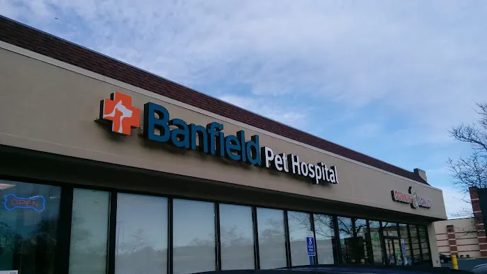 Banfield Pet Hospital Picture 7