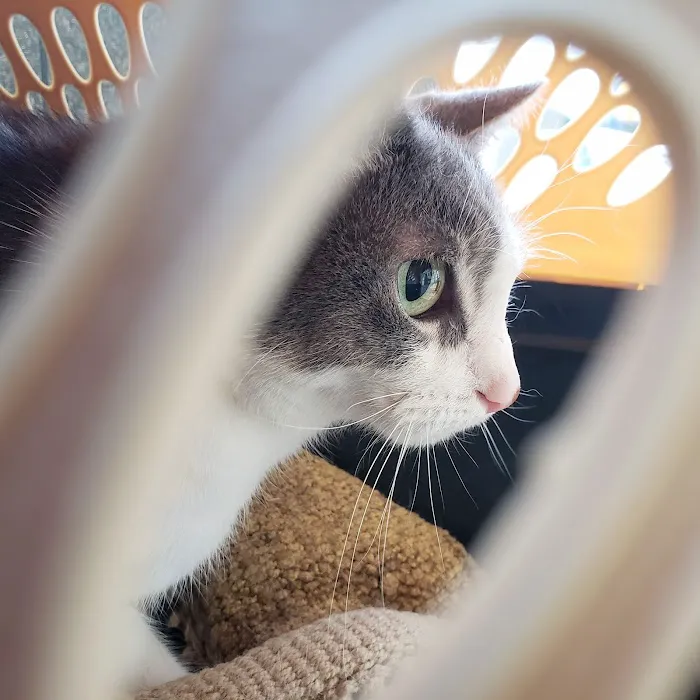 Banfield Pet Hospital Picture 9