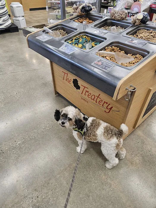 Petco Picture 7