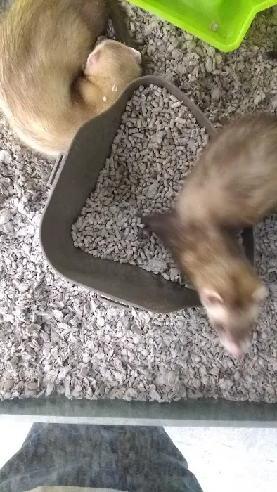 Petco Picture 2
