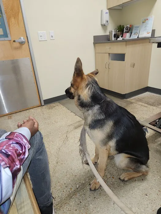 Petco Picture 8