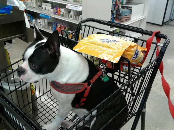 Petco Picture 10