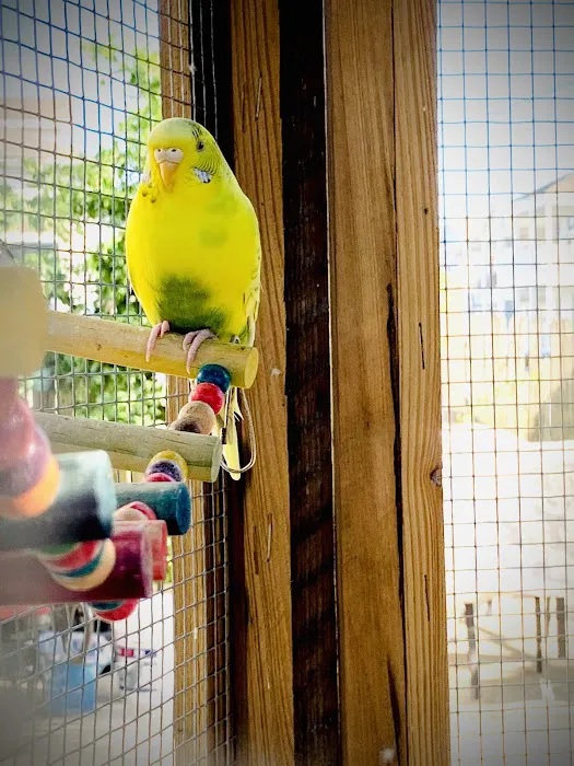Petco Picture 9
