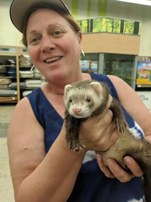 Petco Picture 4